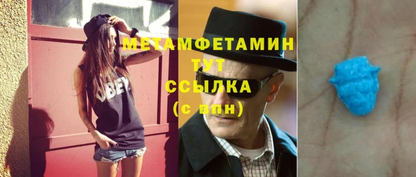 мдпв Гусев