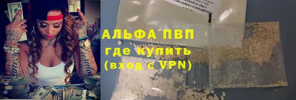 мяу мяу мука Гусь-Хрустальный