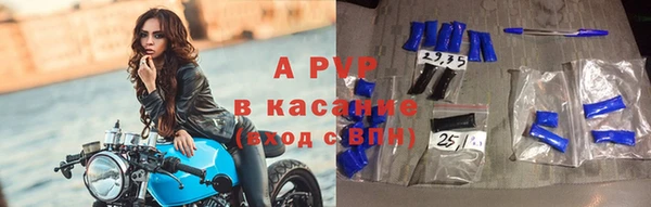 мдпв Гусев