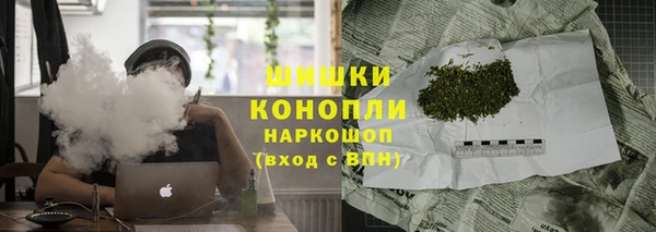 мдпв Гусев