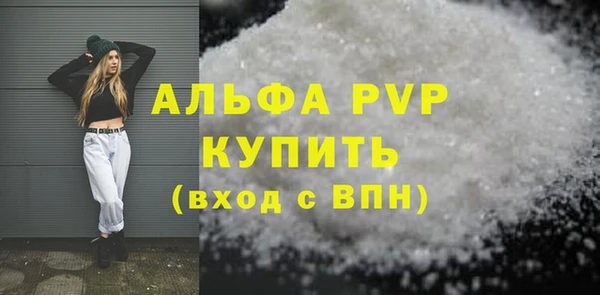 мдпв Гусев