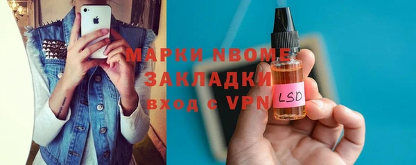 мдпв Гусев