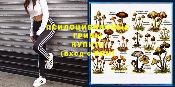 бутират Гусиноозёрск