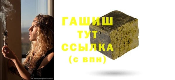 мдпв Гусев