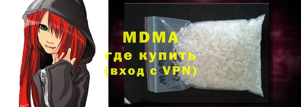 мдпв Гусев