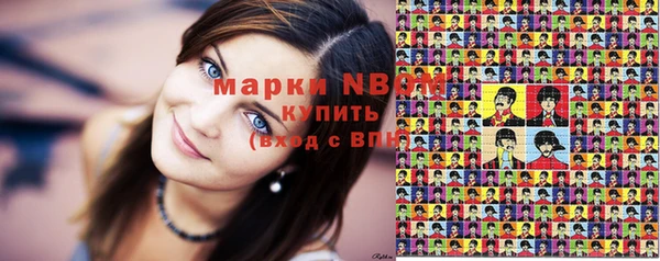 мдпв Гусев