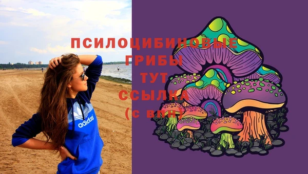 мяу мяу мука Гусь-Хрустальный