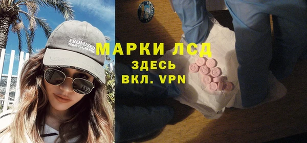 мдпв Гусев