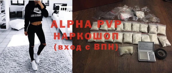 мдпв Гусев
