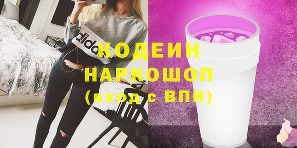 мдпв Гусев