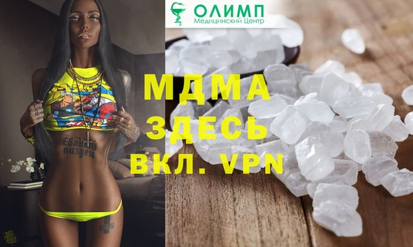 мдпв Гусев