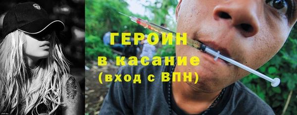 мдпв Гусев