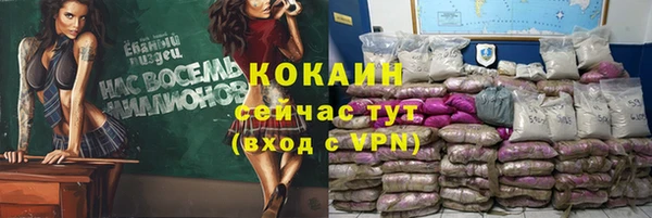 мяу мяу мука Гусь-Хрустальный
